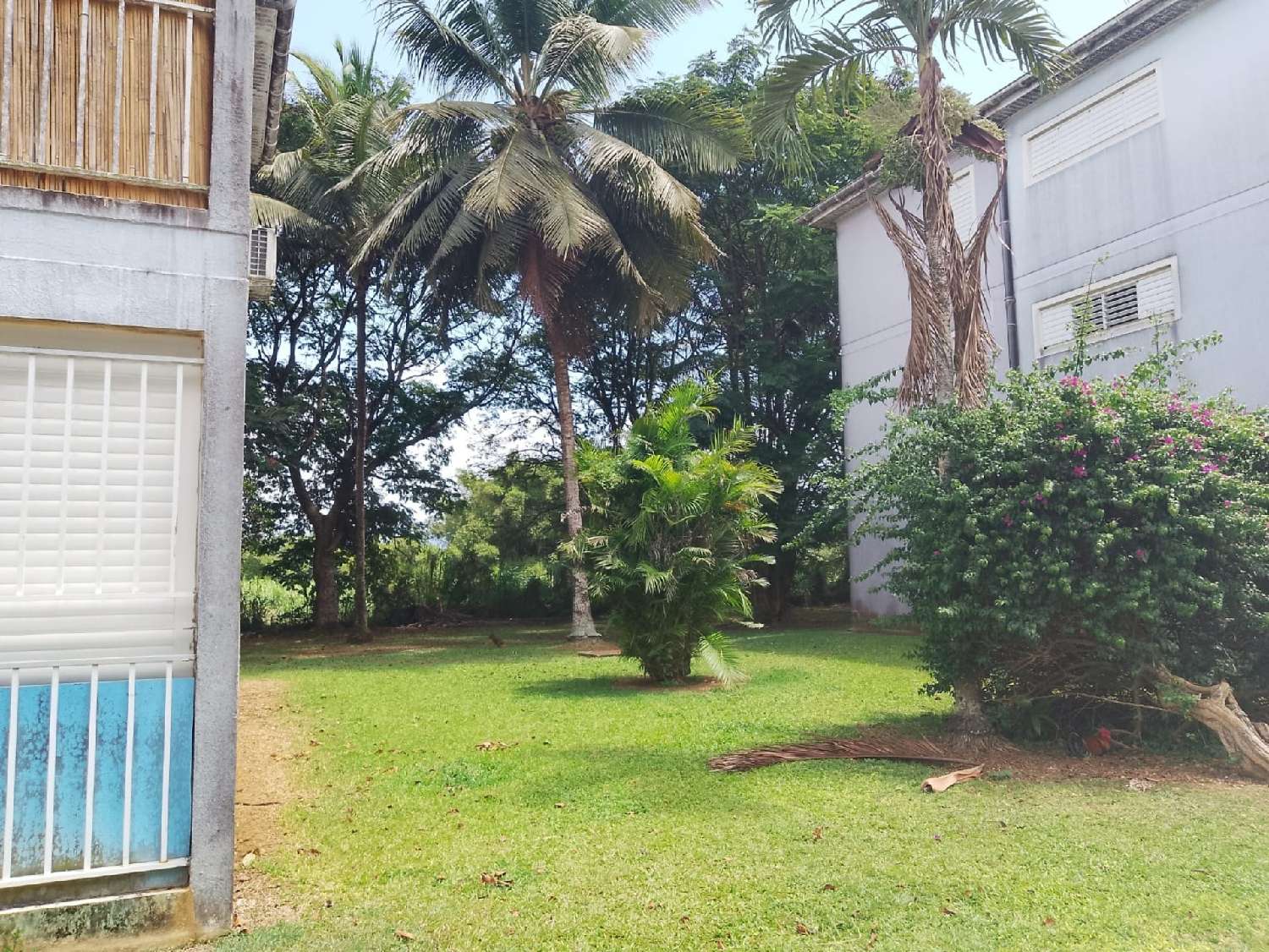  kaufen Wohnung/ Apartment Sainte-Rose Guadeloupe 4