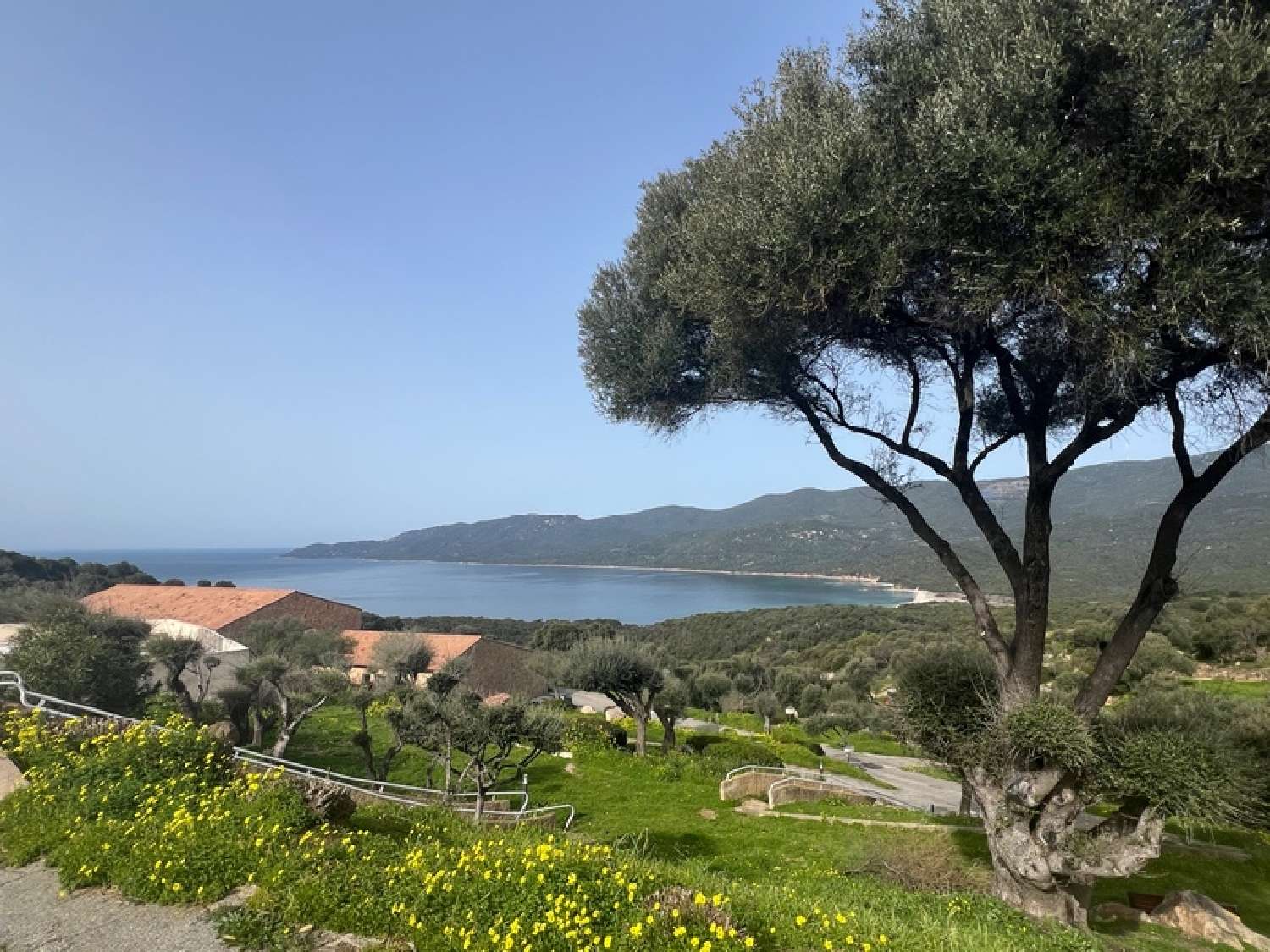 à vendre appartement Serra-di-Ferro Corse-du-Sud 4