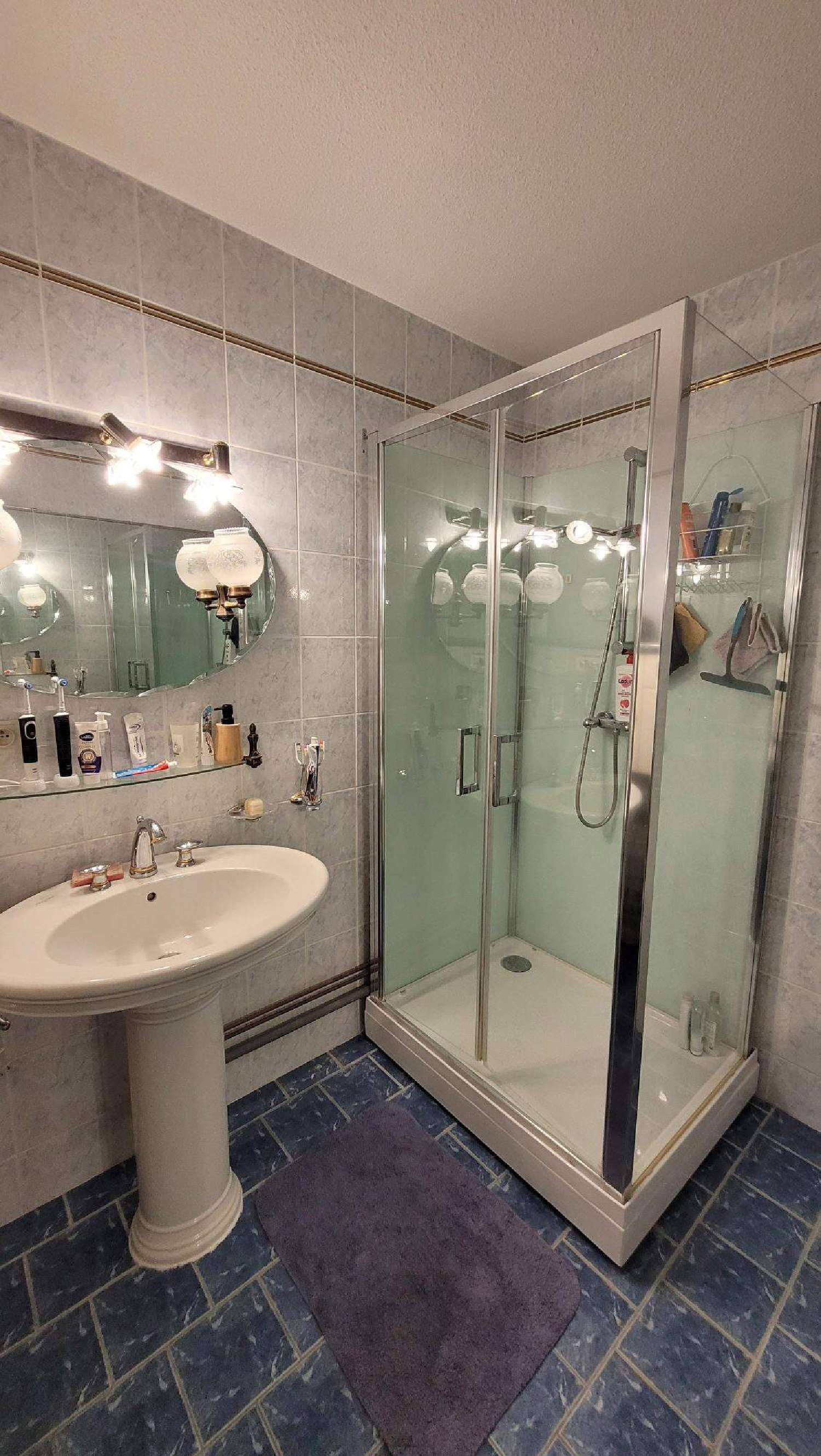 te koop appartement Sevrey Saône-et-Loire 5