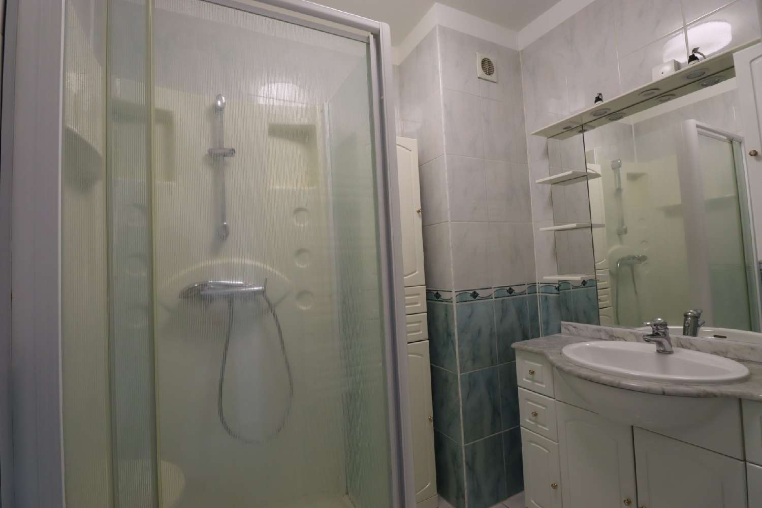 kaufen Wohnung/ Apartment Terrenoire Loire 5