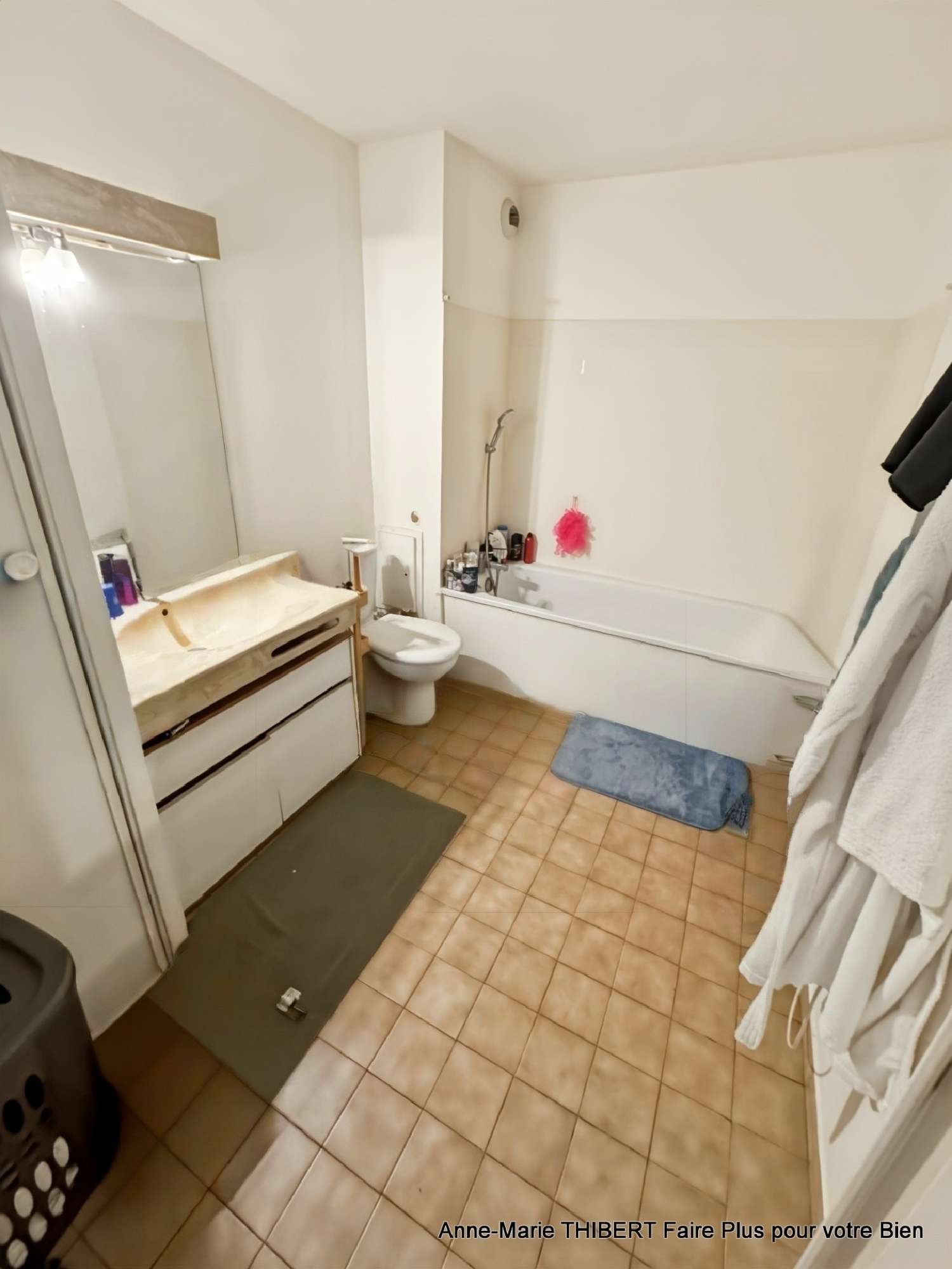 à vendre appartement Villeurbanne Rhône 6