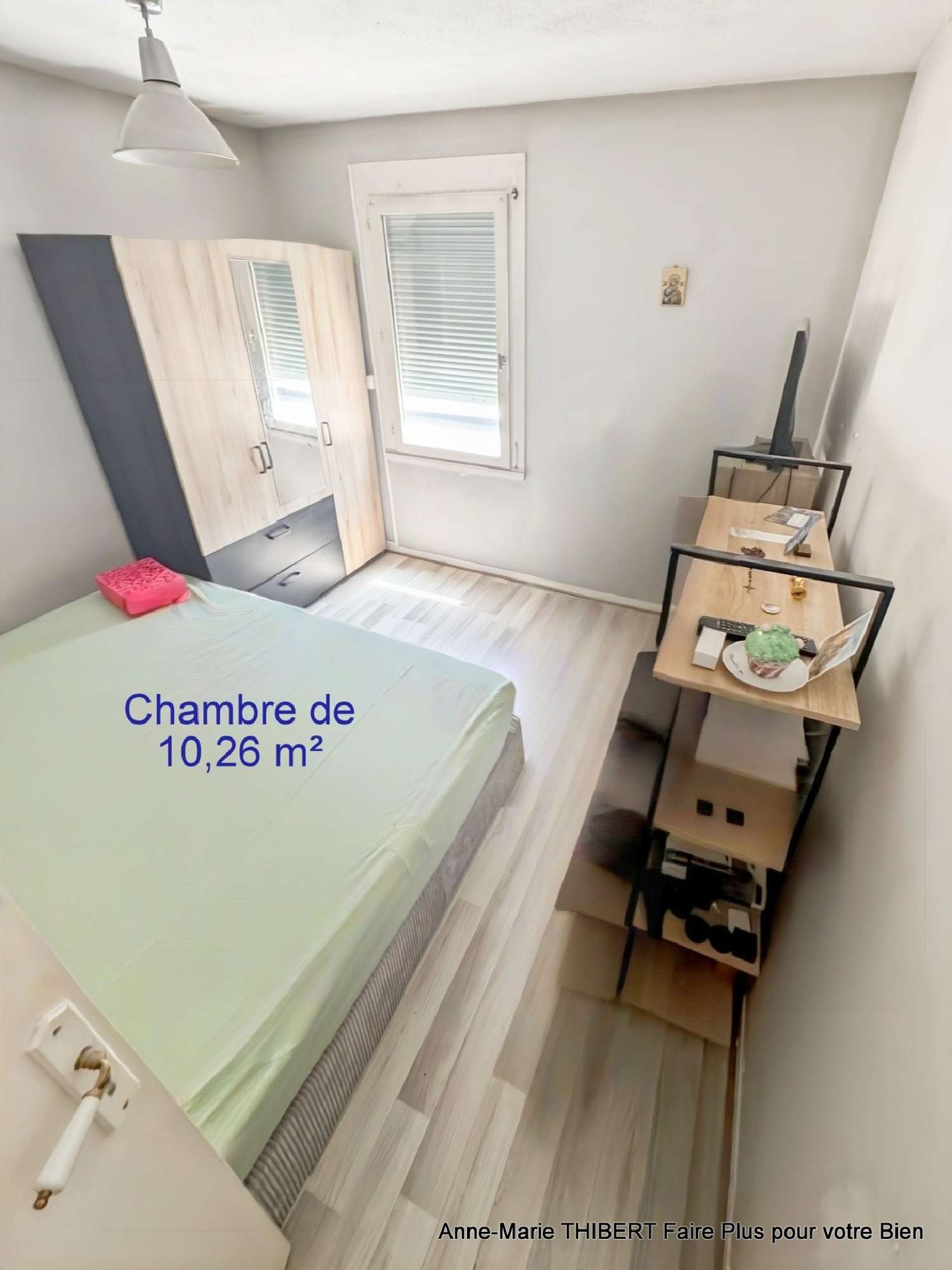 à vendre appartement Villeurbanne Rhône 7