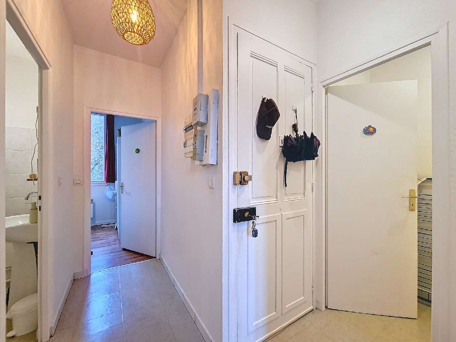te koop gebouw Grenoble Isère 8