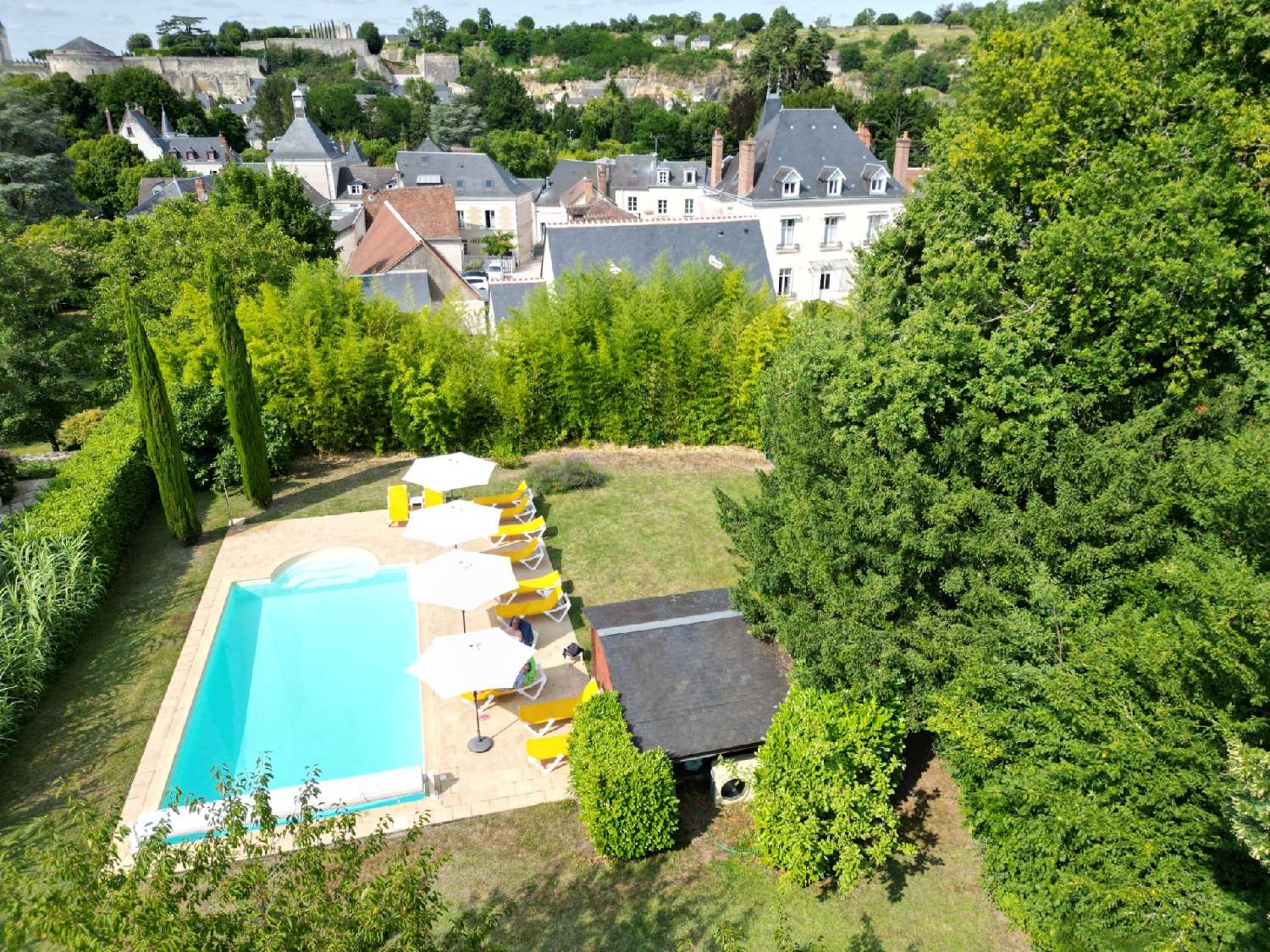 te koop kasteel Lussault-sur-Loire Indre-et-Loire 6