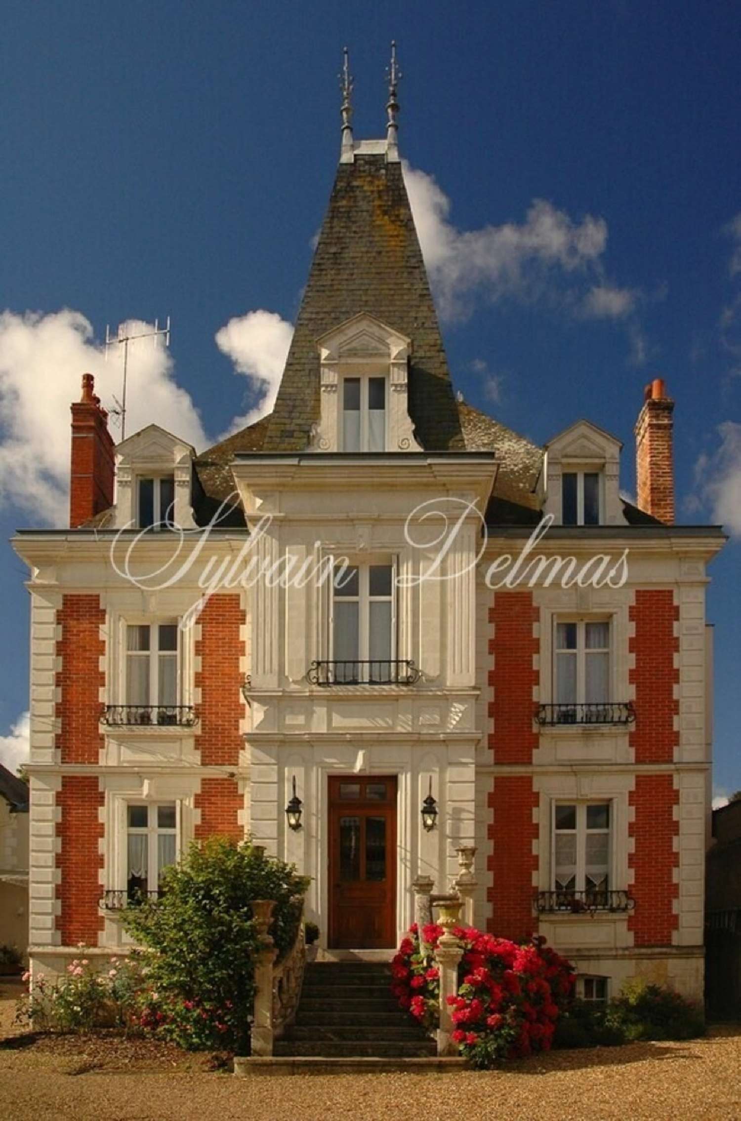 te koop kasteel Lussault-sur-Loire Indre-et-Loire 8
