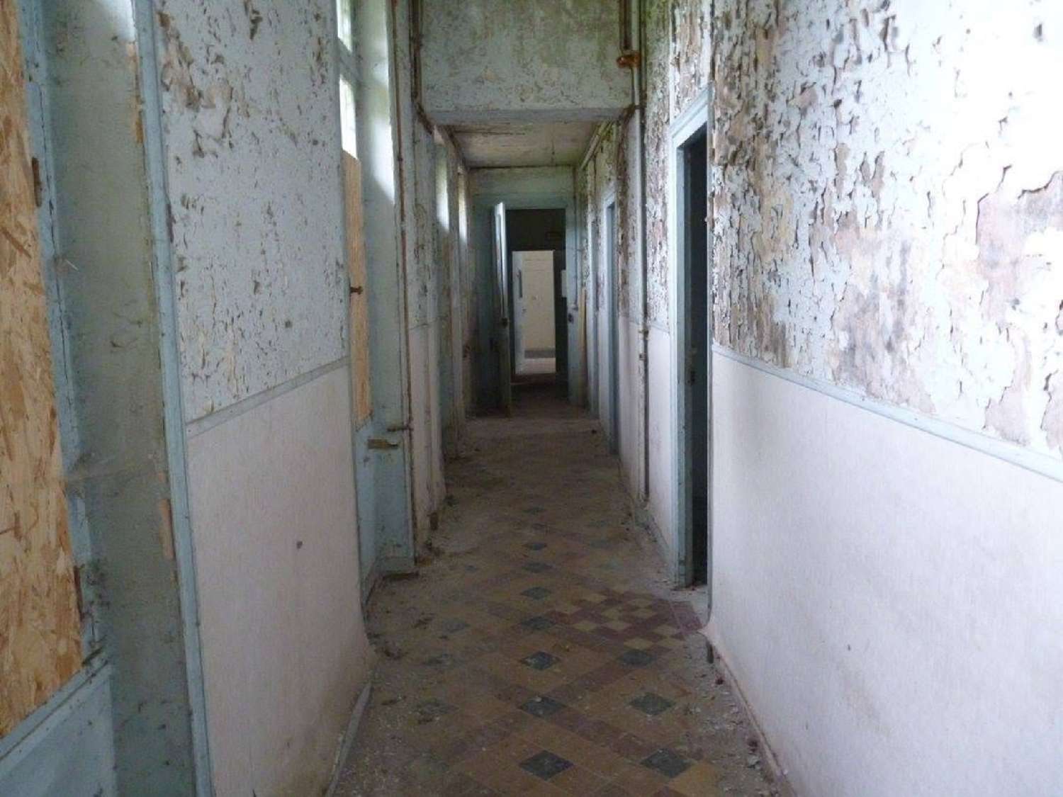 à vendre château Tours Indre-et-Loire 8