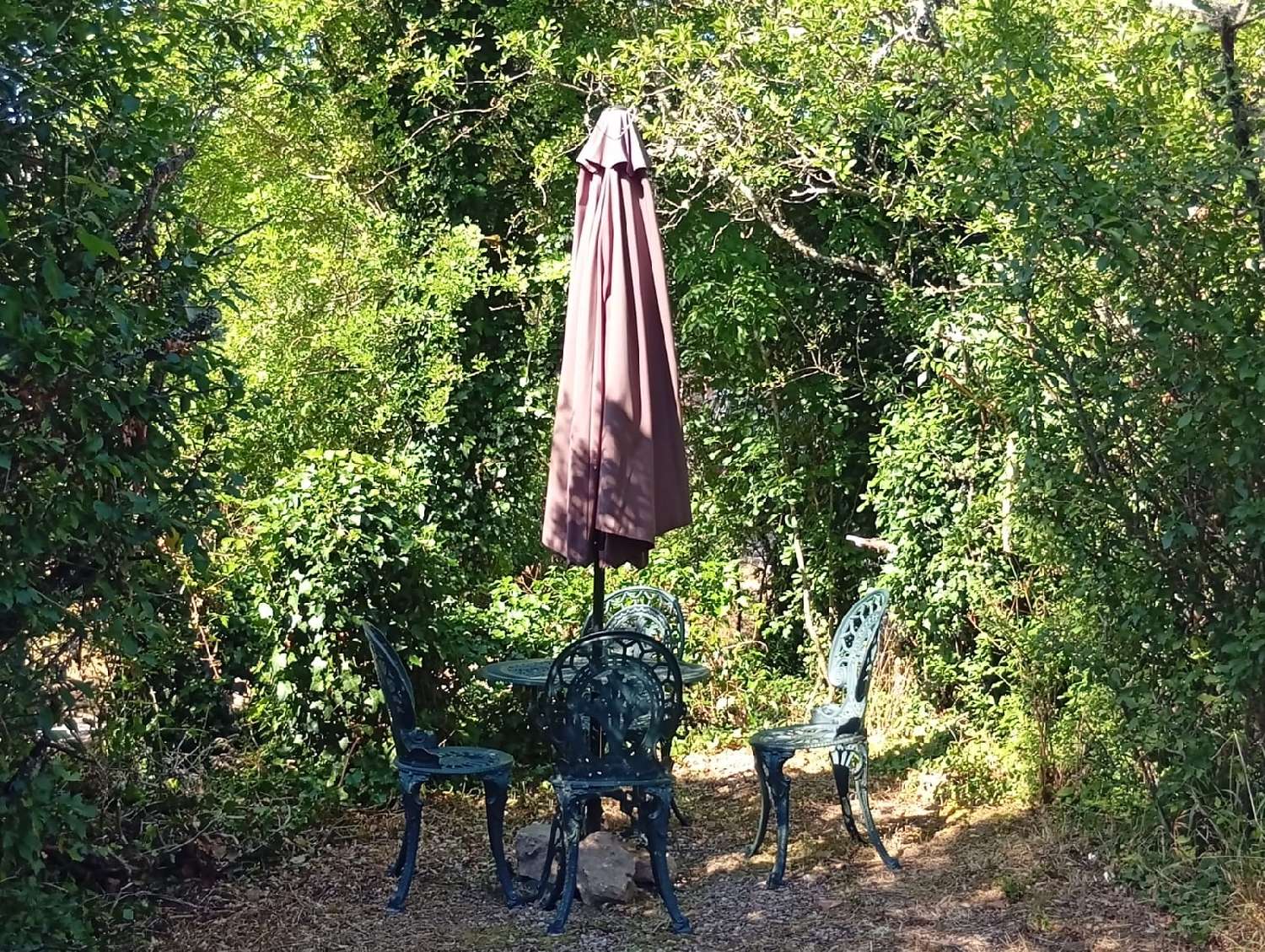  à vendre commerce Avène Hérault 6