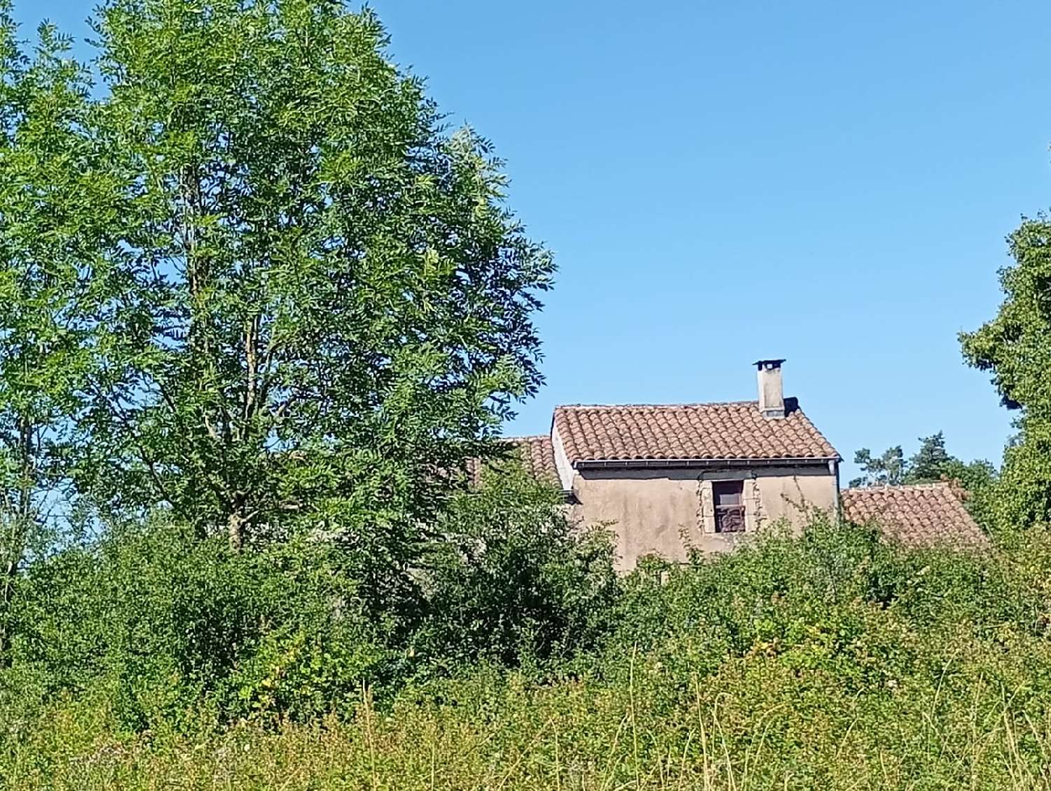  à vendre commerce Avène Hérault 7