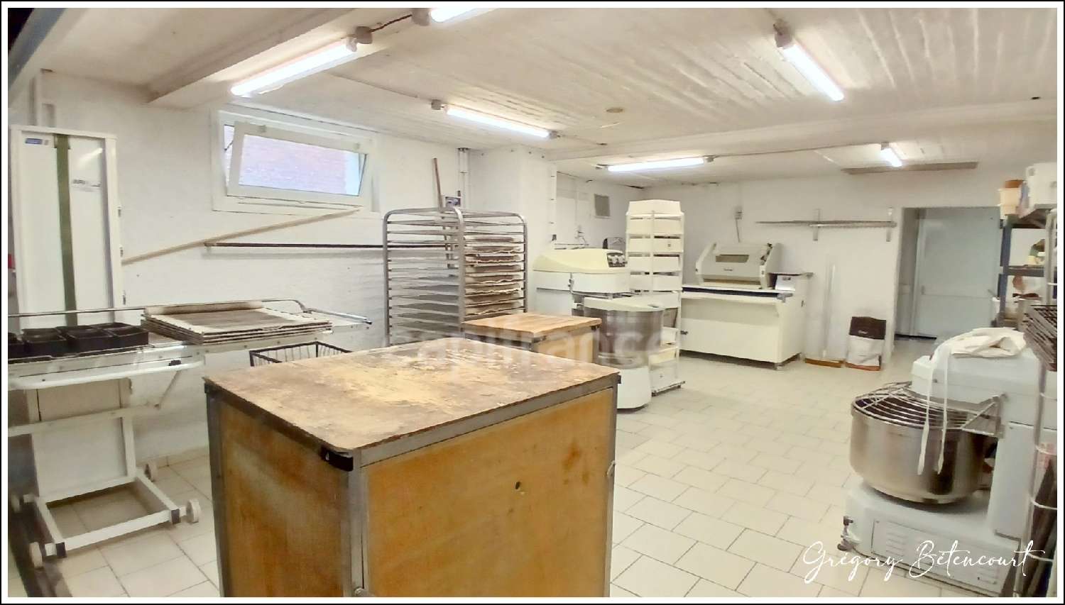 for sale commercial Lesquin Nord 3