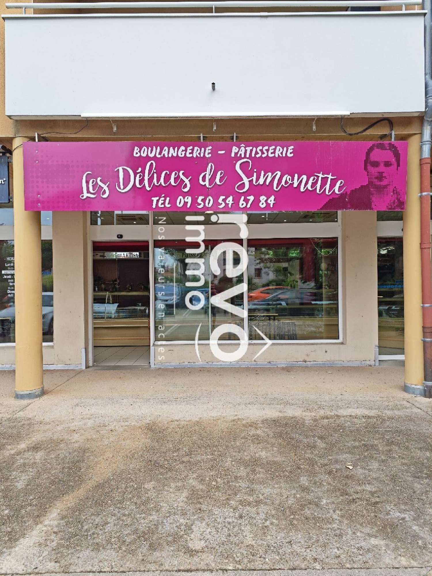 te koop bedrijfsruimte/ kantoor Mionnay Ain 1
