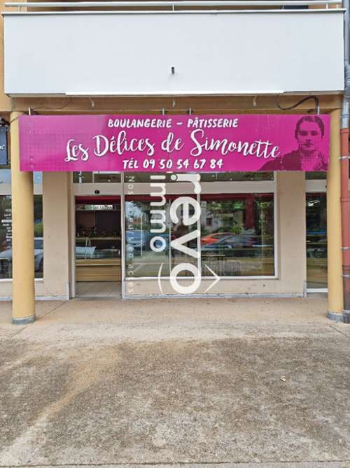 Mionnay Ain bedrijfsruimte/ kantoor foto 7389723
