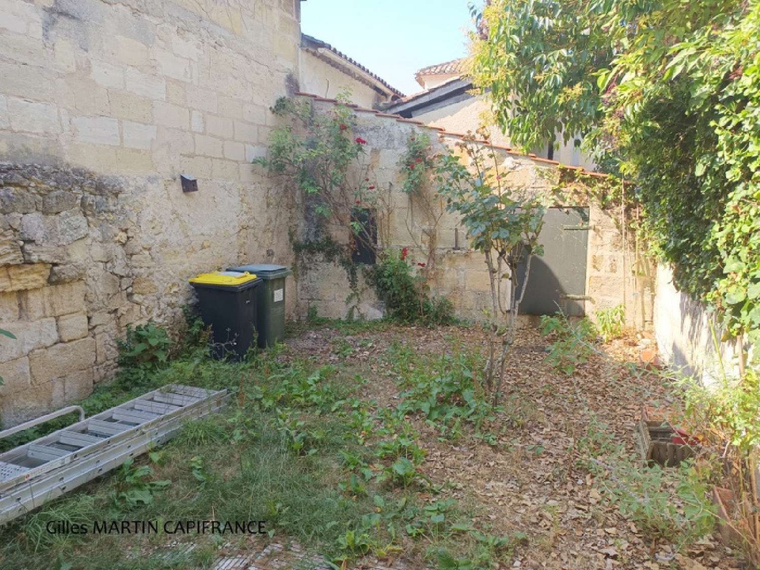 for sale commercial Sainte-Terre Gironde 7