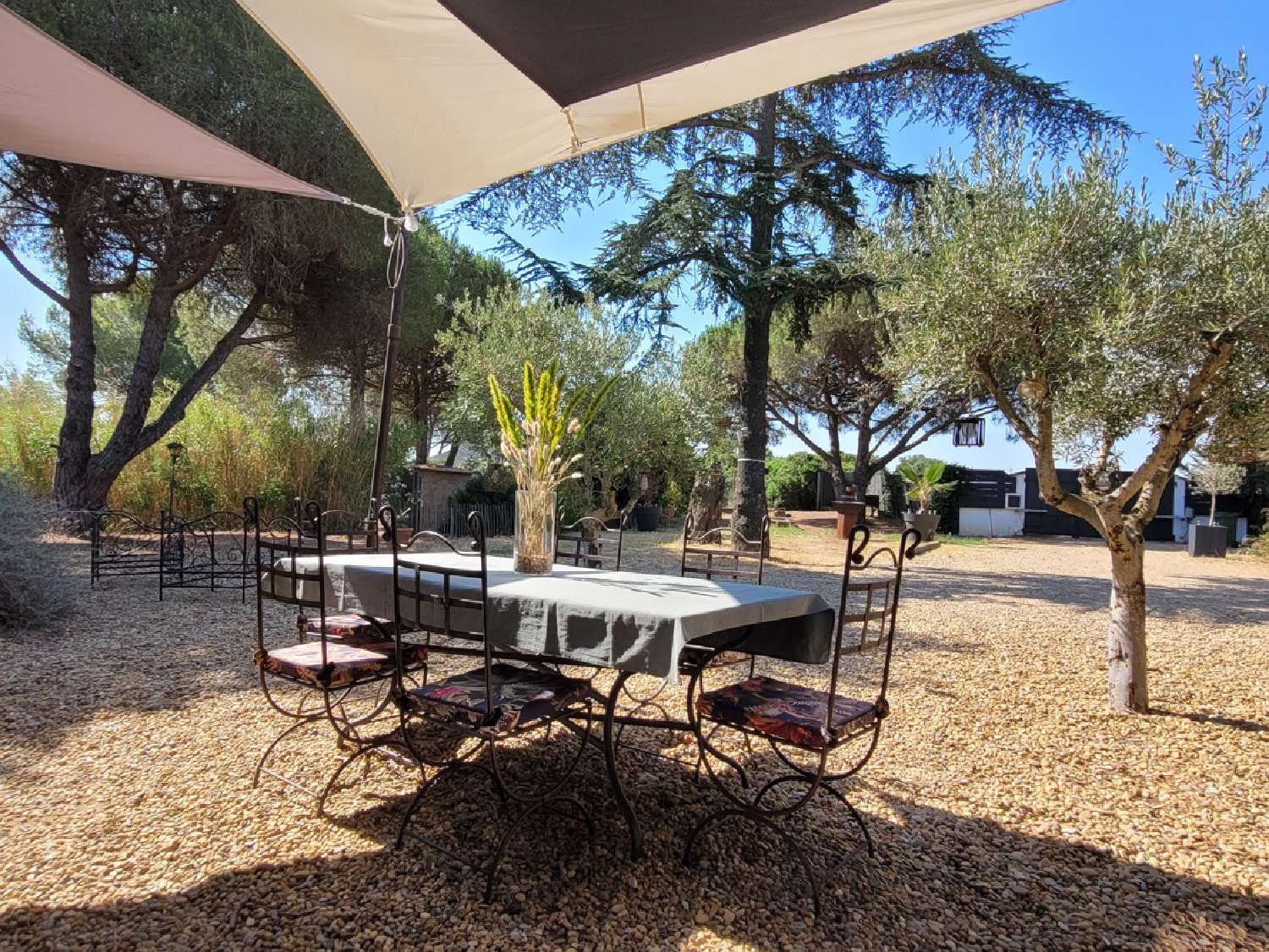 à vendre maison indépendant Nézignan-l'Évêque Hérault 8