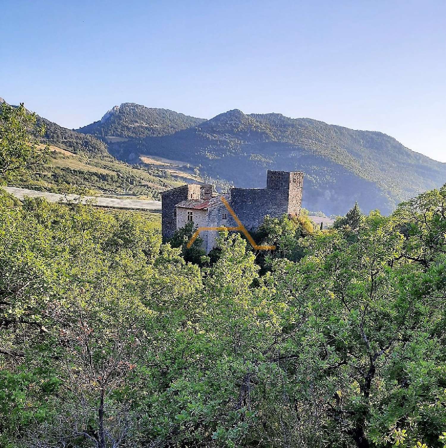 à vendre propriété Arpavon Drôme 1
