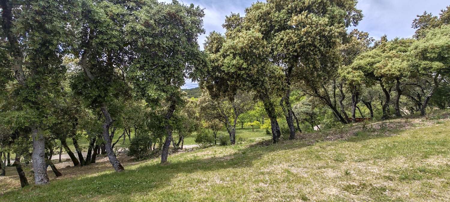 te koop landgoed Beaumont-de-Pertuis Vaucluse 7