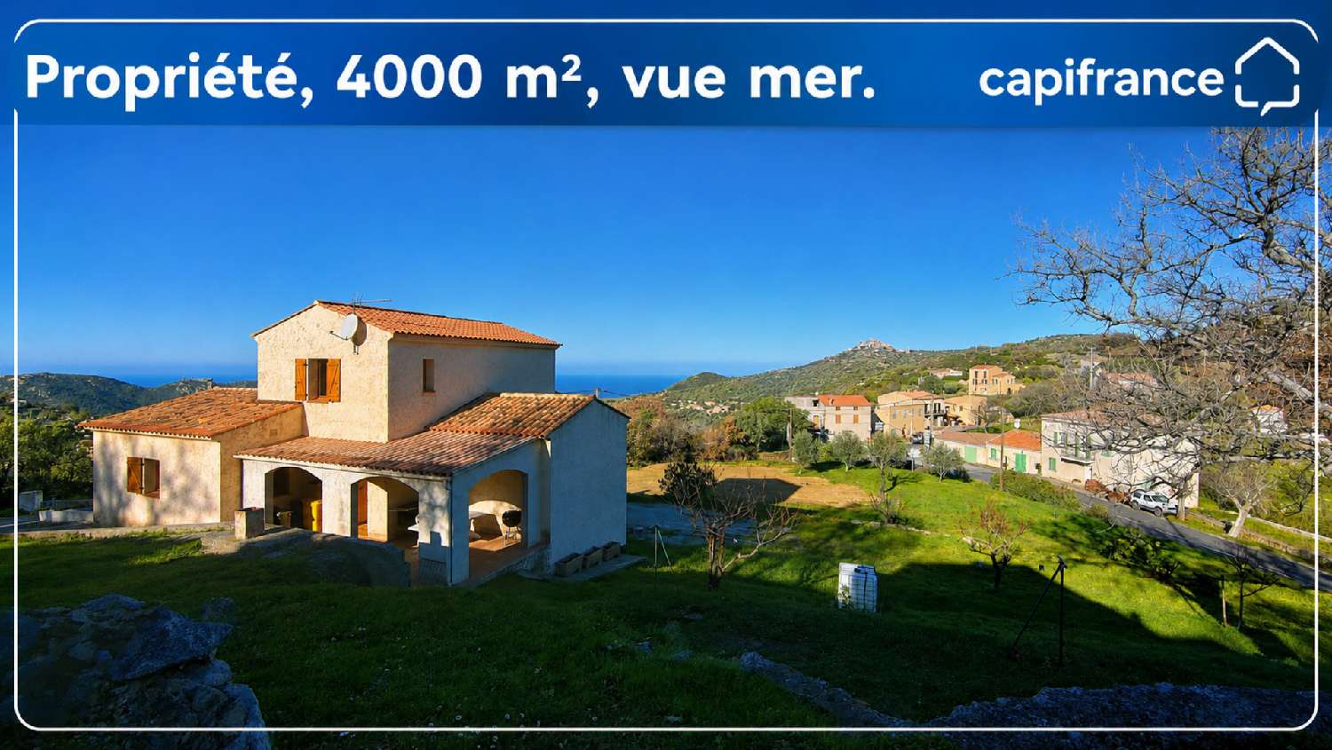for sale estate Cateri Haute-Corse 1