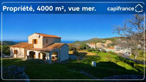 Cateri Haute-Corse Landgut Bild 7383850