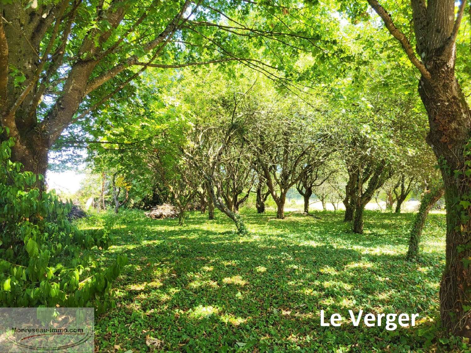 for sale estate Chavannes-sur-Reyssouze Ain 2