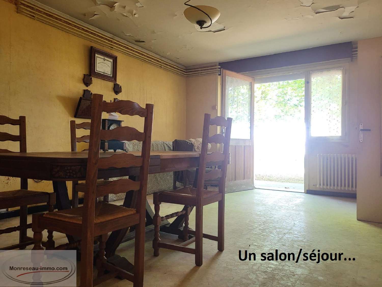 for sale estate Chavannes-sur-Reyssouze Ain 7