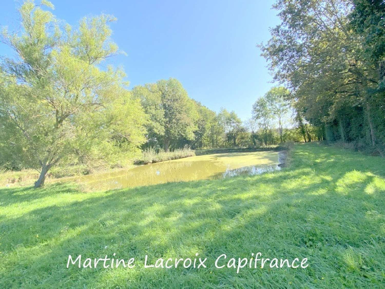 te koop landgoed Cormes Sarthe 5