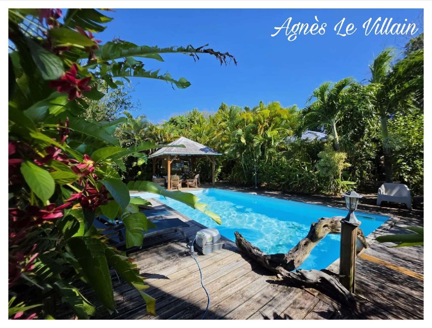 à vendre propriété Deshaies Guadeloupe 1