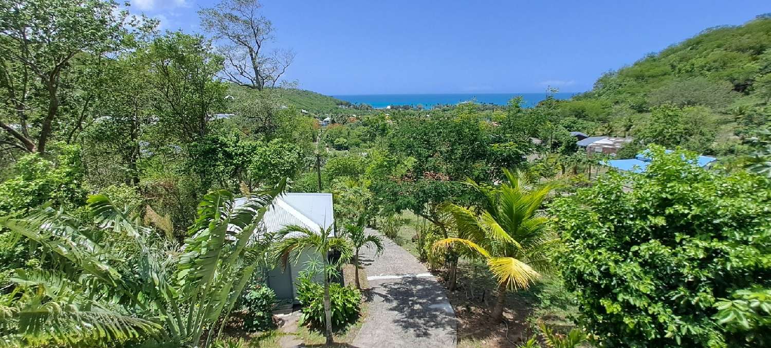à vendre propriété Deshaies Guadeloupe 8