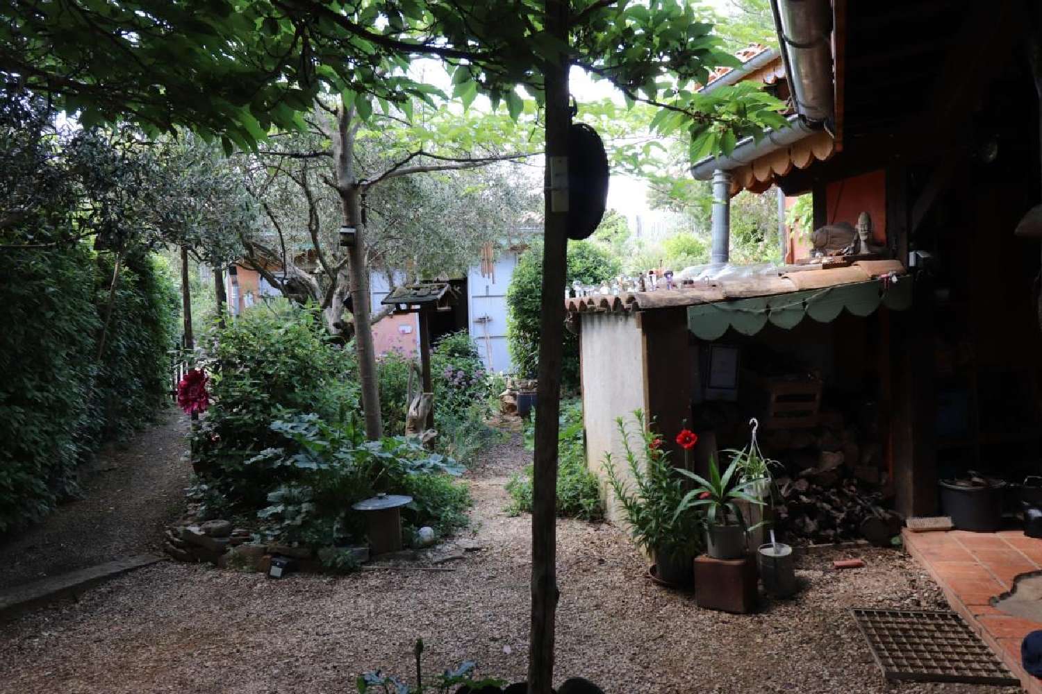 for sale estate Félines-Minervois Hérault 4