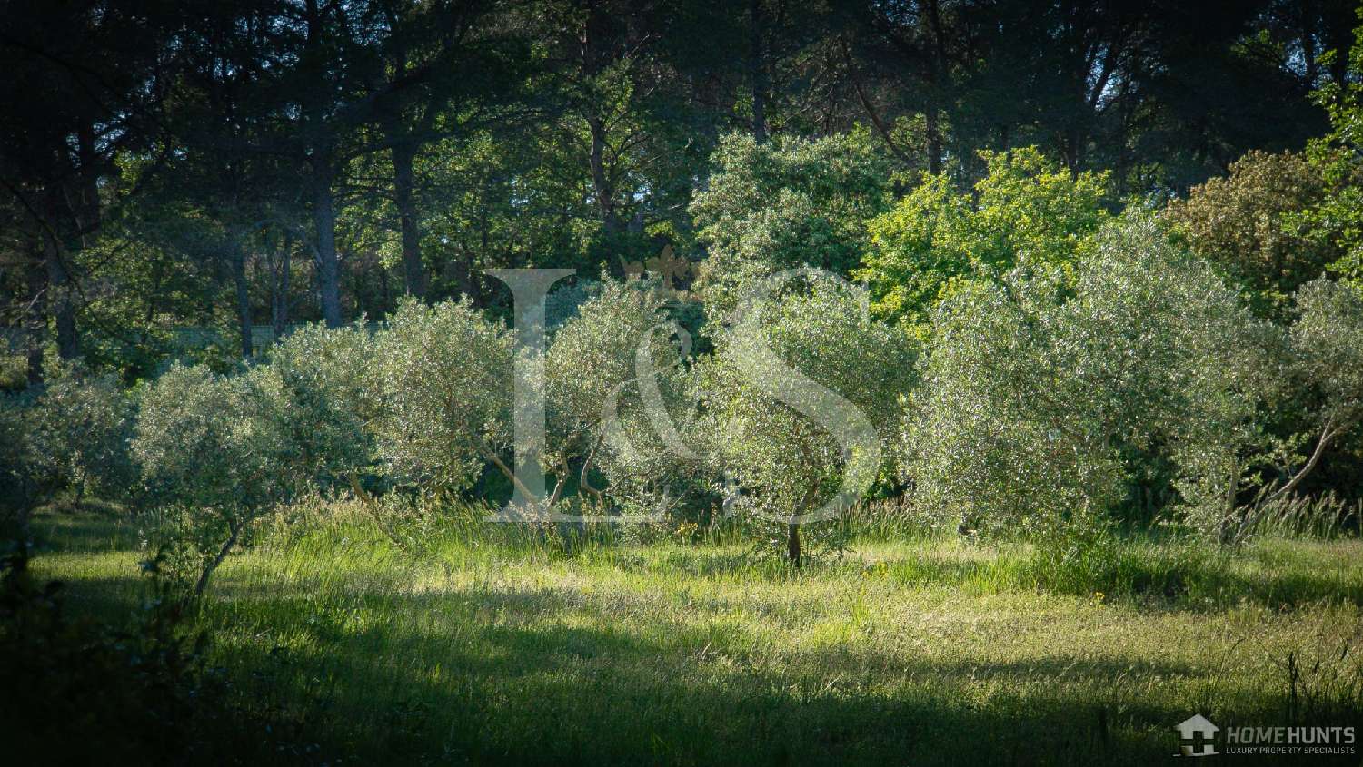 te koop landgoed L'Isle-sur-la-Sorgue Vaucluse 7