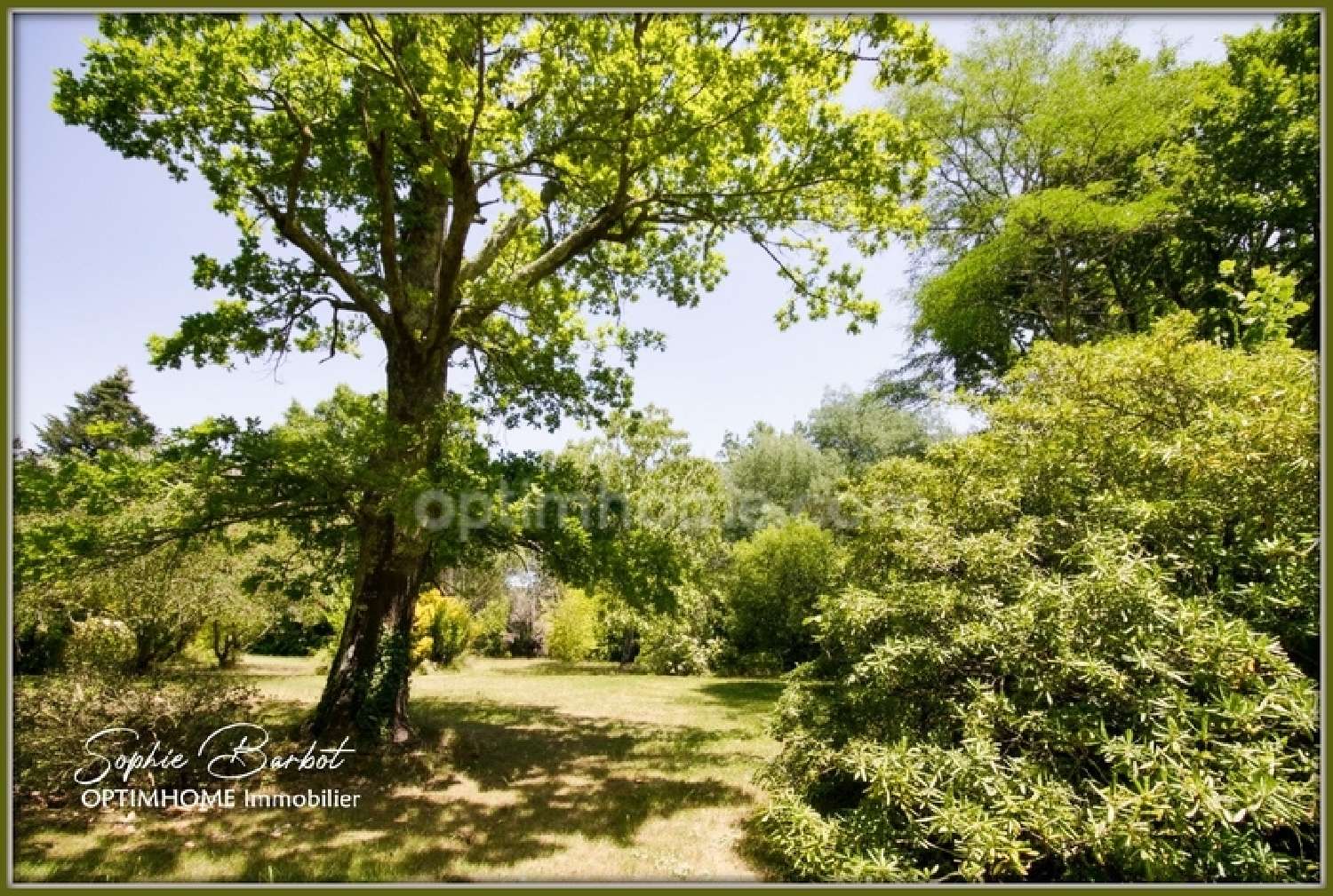  for sale estate Léognan Gironde 2