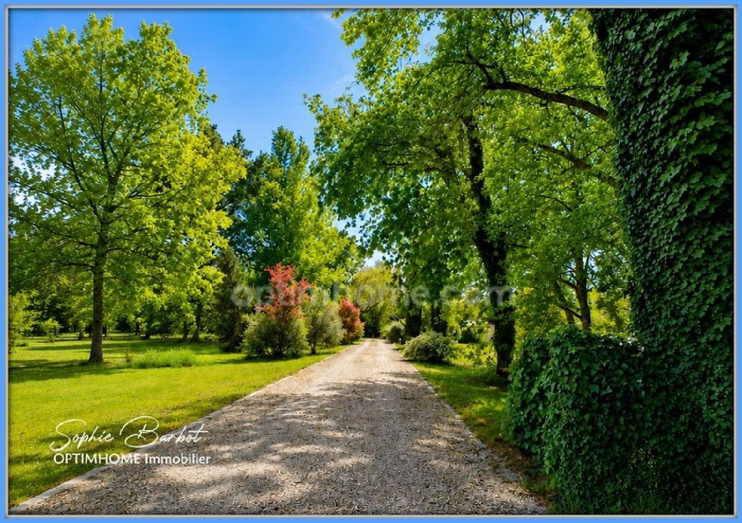  for sale estate Léognan Gironde 6