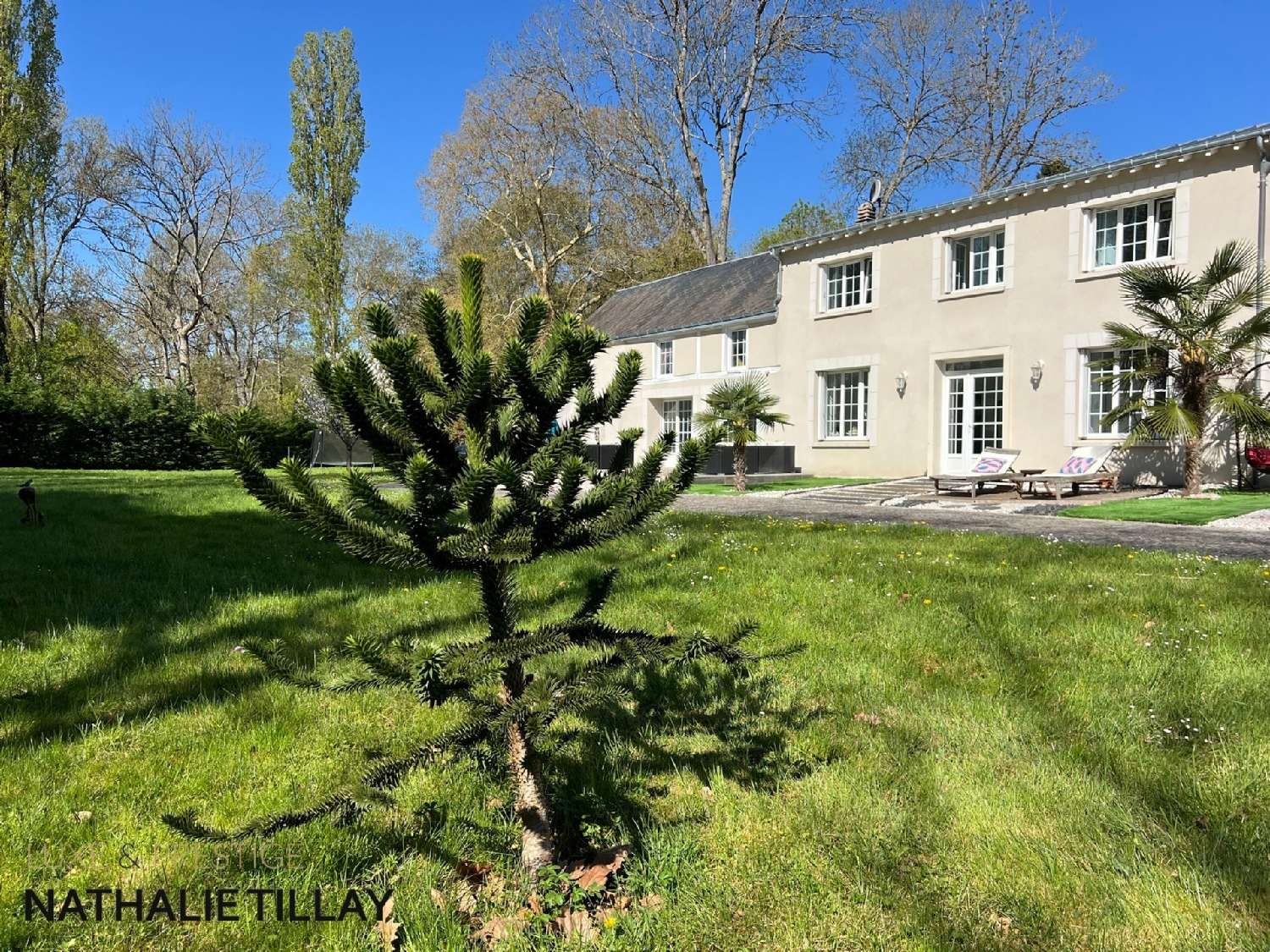 en venta finca rústica Mardié Loiret 6