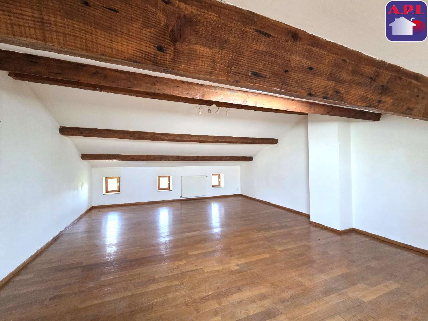 à vendre propriété Mazères Ariège 6