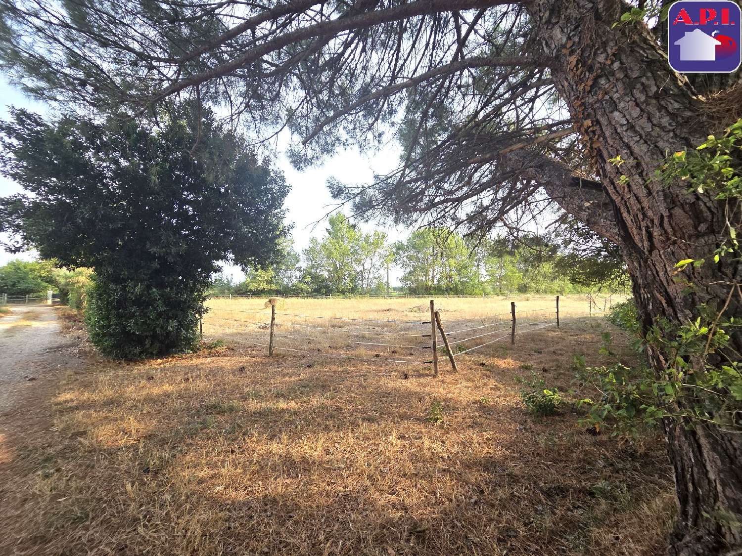 à vendre propriété Mazères Ariège 5