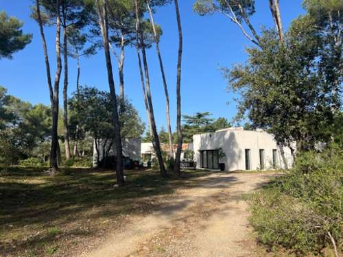 Montpellier Hérault Landgut Bild 7389327