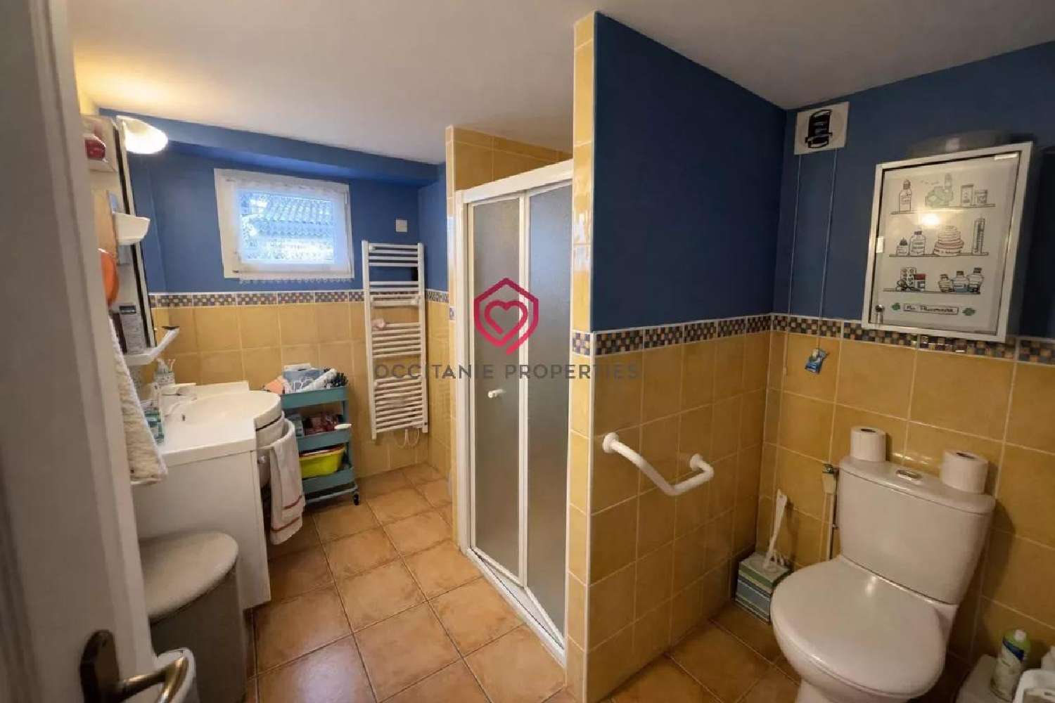 à vendre propriété Pamiers Ariège 8