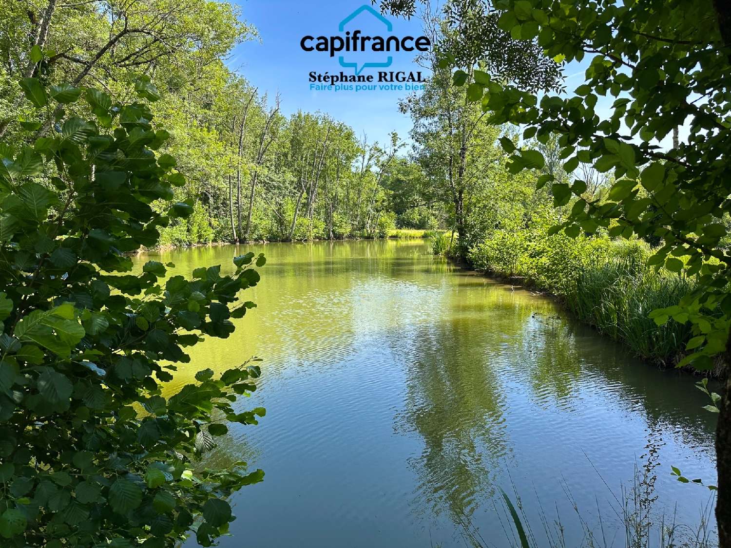  for sale estate Paulhiac Lot-et-Garonne 3