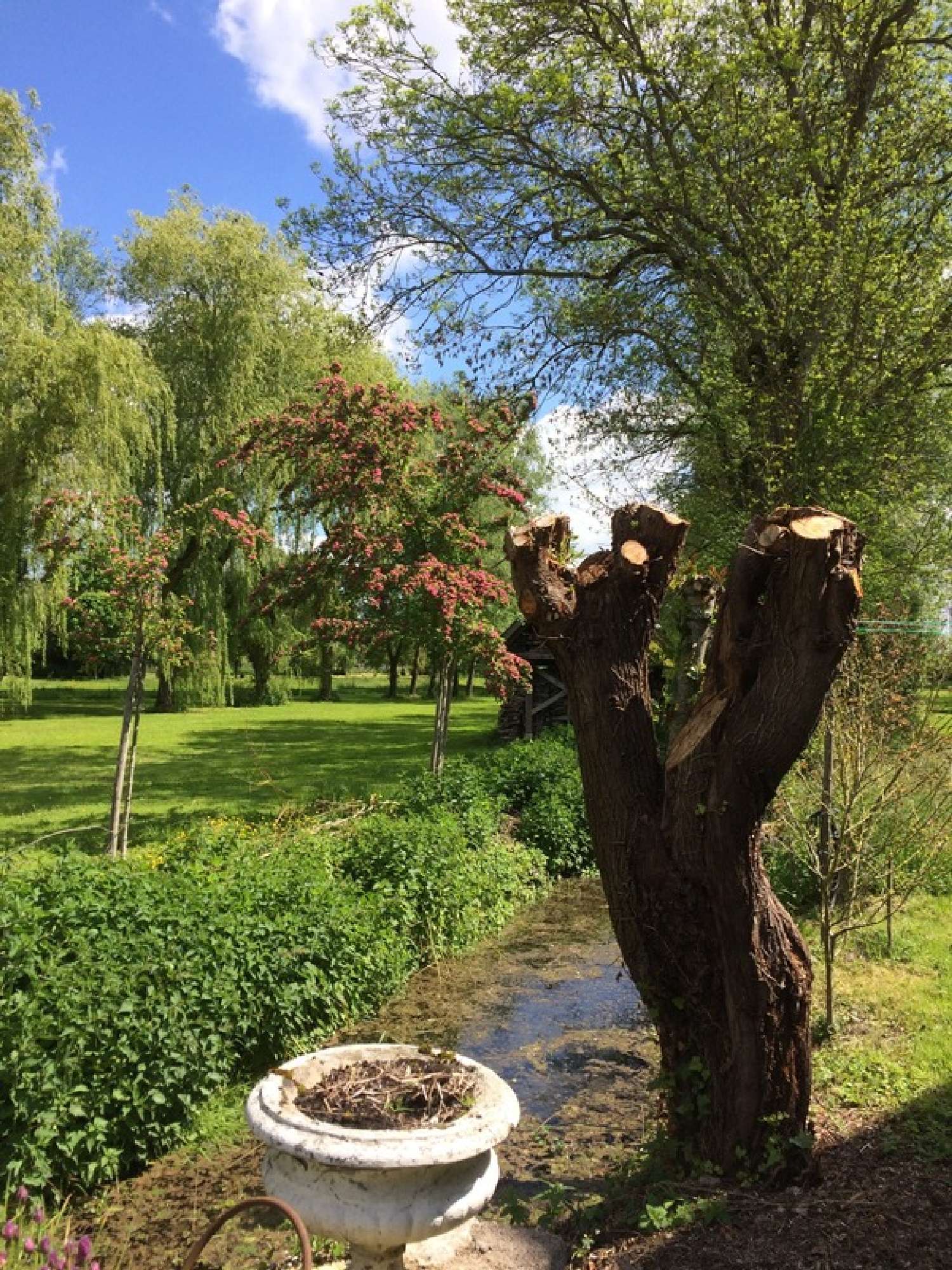 en venta finca rústica Sancerre Cher 8