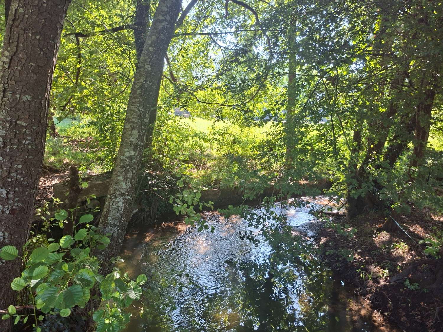  à vendre propriété Siorac-en-Périgord Dordogne 4