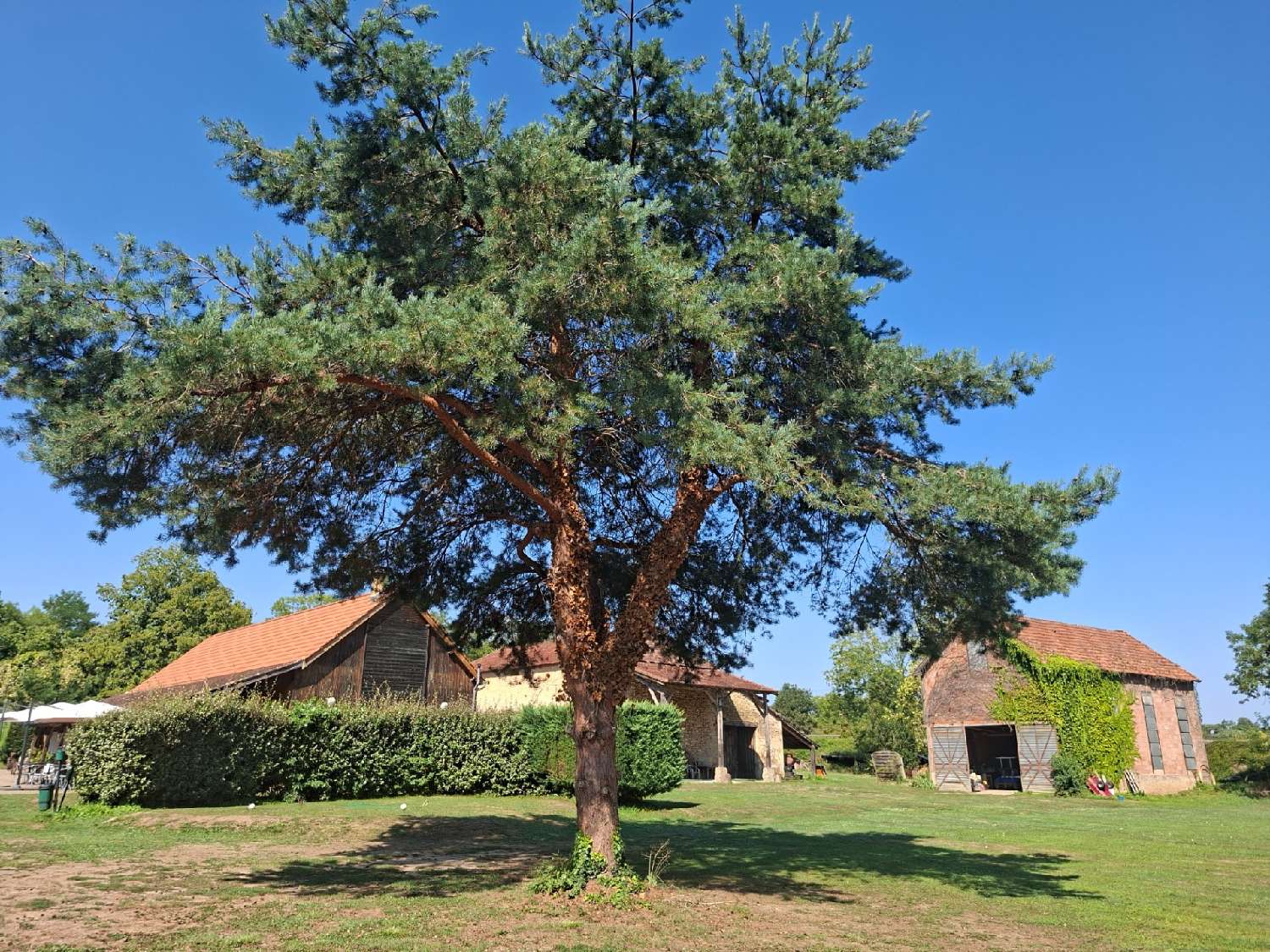  à vendre propriété Siorac-en-Périgord Dordogne 7