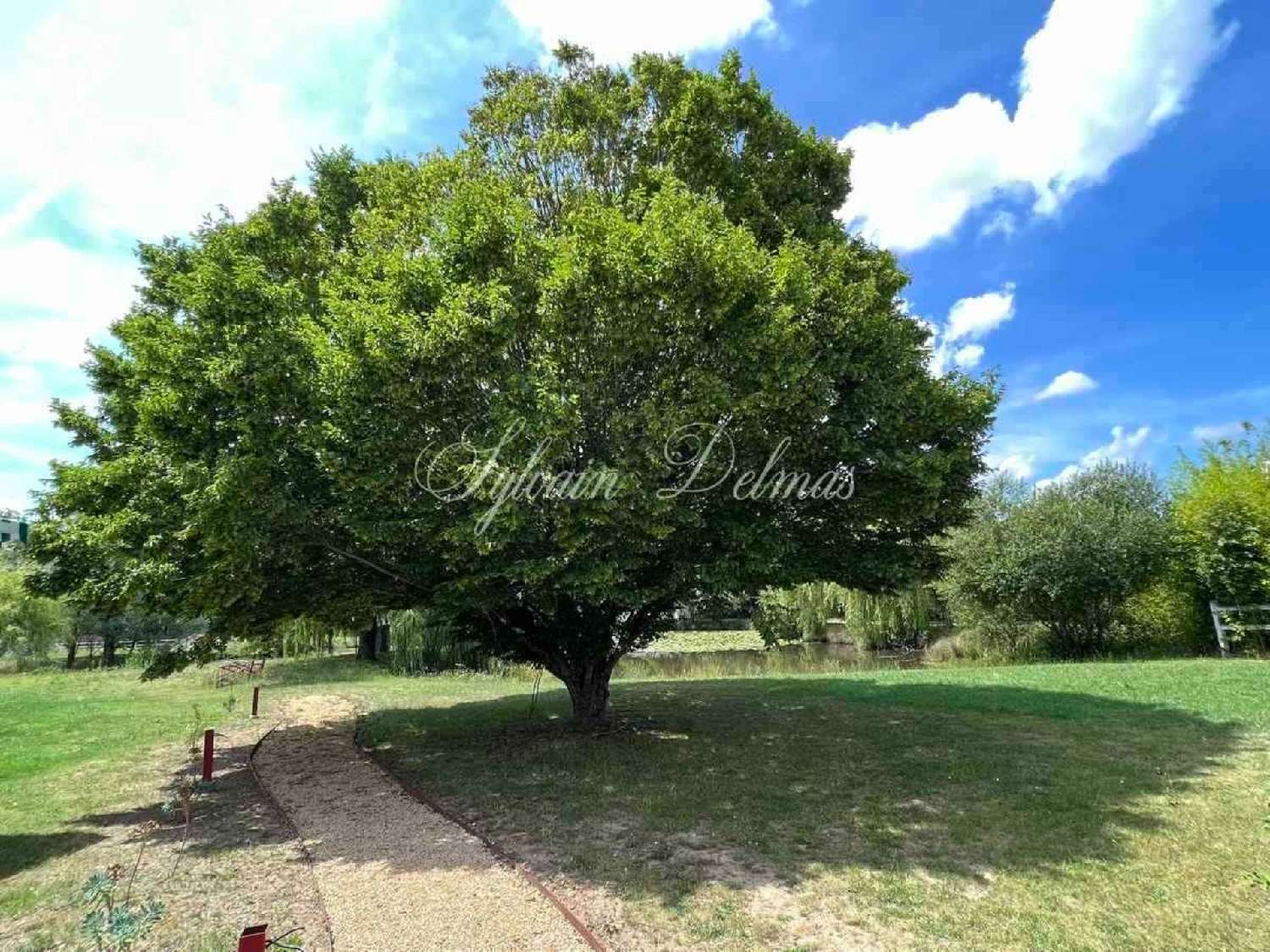 te koop landgoed Tours Indre-et-Loire 8