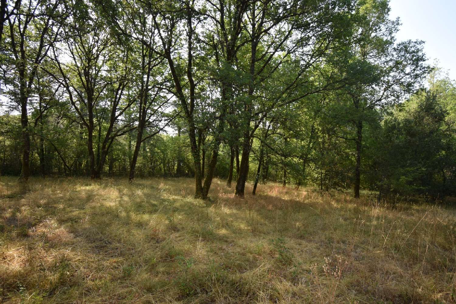 à vendre propriété Vers Lot 5