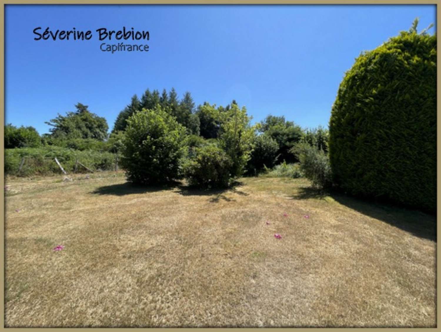  for sale farm Arconsat Puy-de-Dôme 4