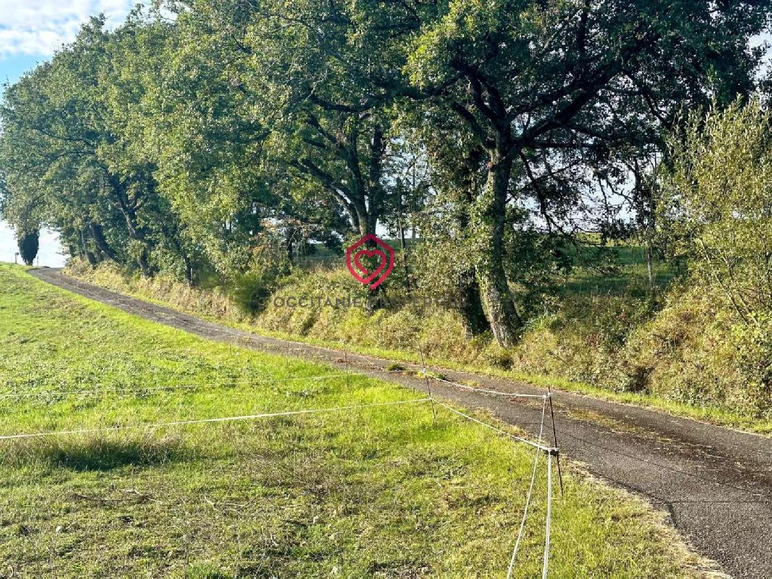  à vendre ferme Armous-et-Cau Gers 5