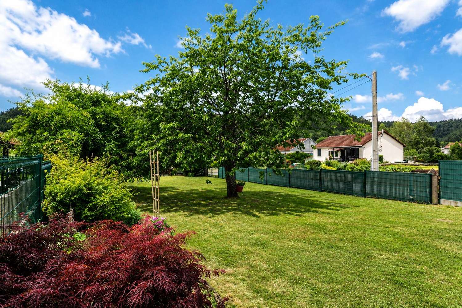 à vendre ferme Biffontaine Vosges 2