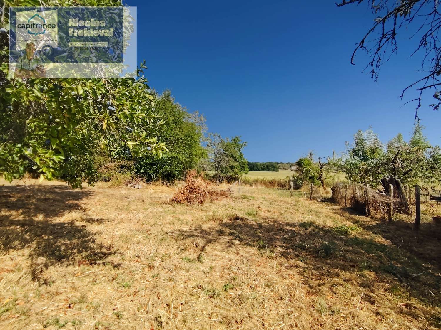 for sale farm Bletterans Jura 5
