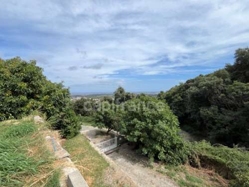 Borgo Haute-Corse Bauernhof Bild 7392445
