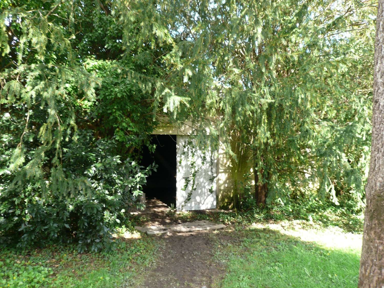 à vendre ferme Burie Charente-Maritime 8