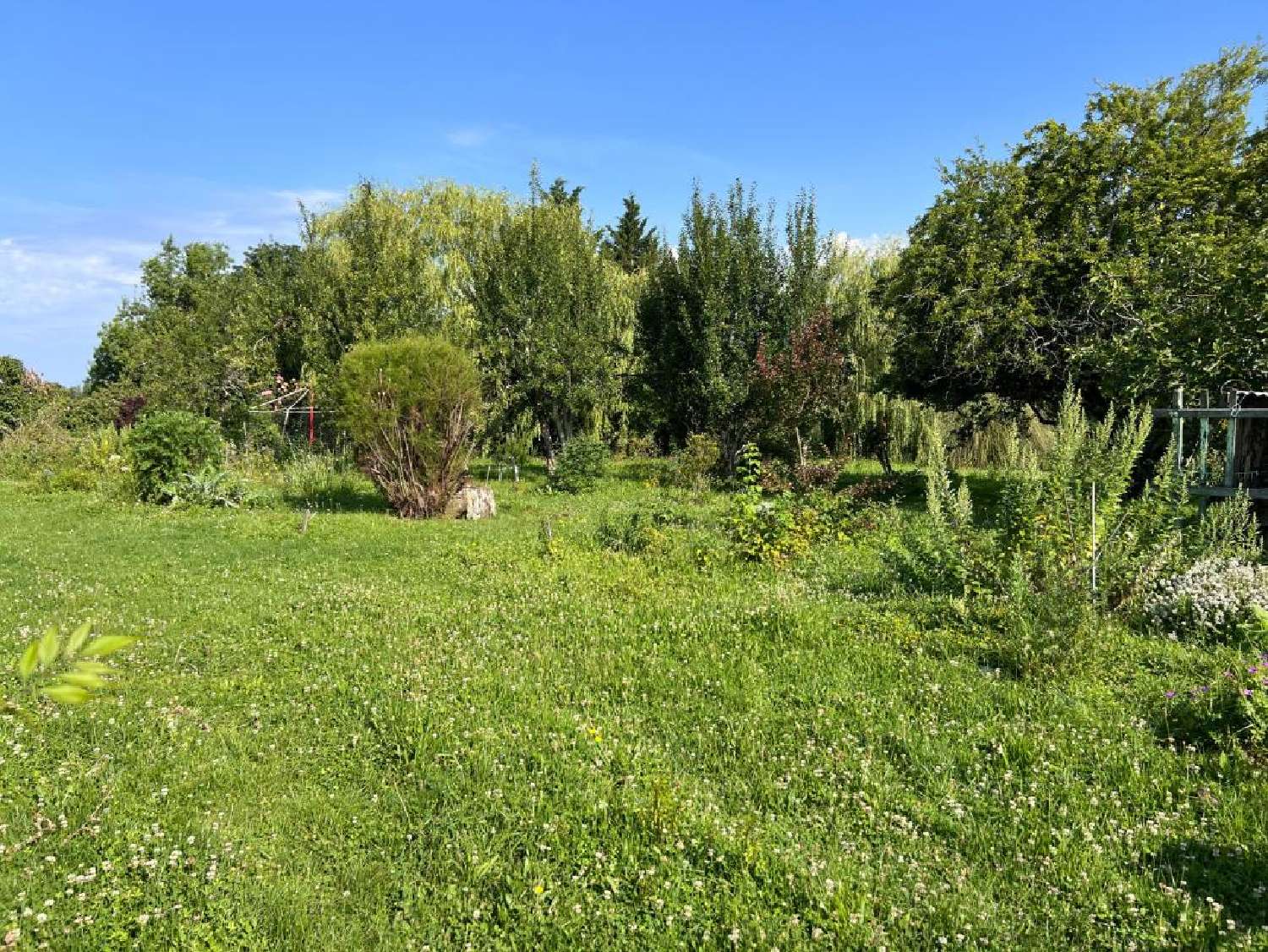  à vendre ferme Burie Charente-Maritime 7