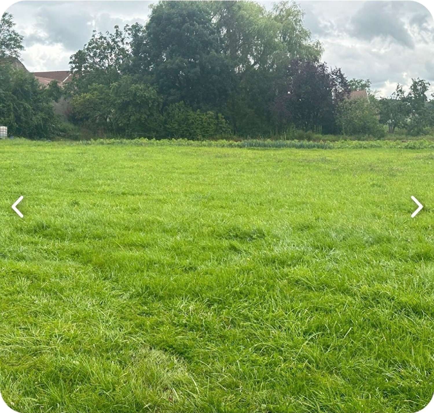 for sale farm Charmes Vosges 3