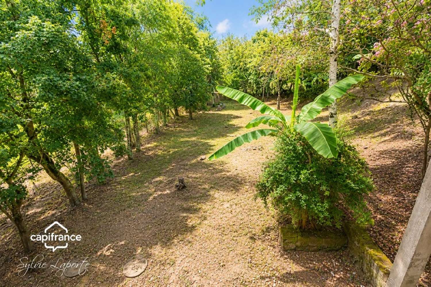 te koop boerderij Damazan Lot-et-Garonne 7